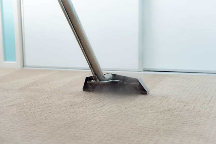 Cairns Budget Carpet Cleaning